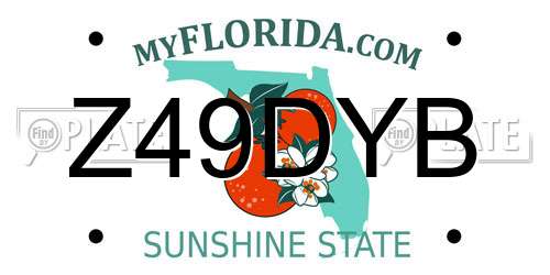 Z49DYB Florida License Plate