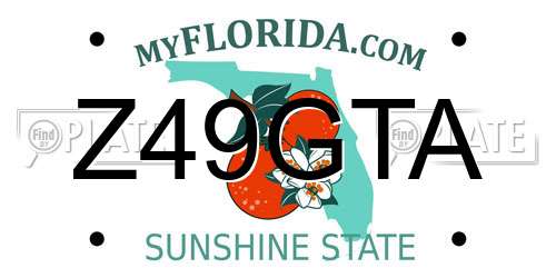 Z49GTA Florida License Plate