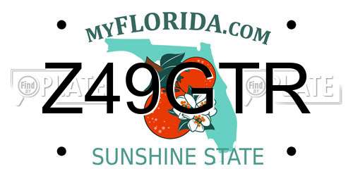Z49GTR Florida License Plate