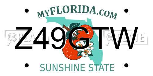 Z49GTW Florida License Plate