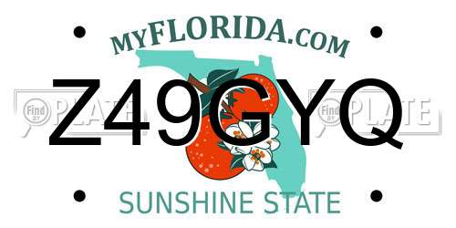 Z49GYQ Florida License Plate
