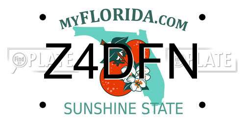 Z4DFN Florida License Plate