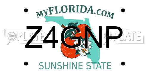 Z4GNP Florida License Plate