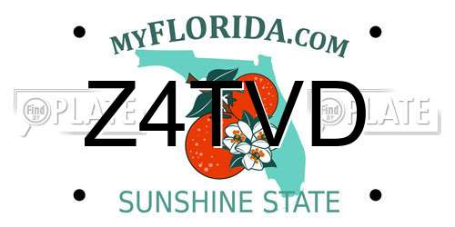 Z4TVD Florida License Plate