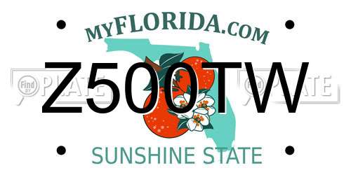 Z500TW Florida License Plate
