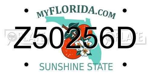 Z50256D Florida License Plate