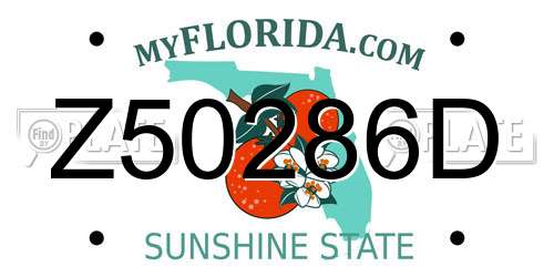 Z50286D Florida License Plate