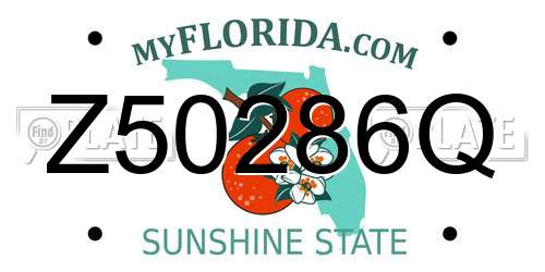 Z50286Q Florida License Plate