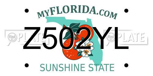 Z502YL Florida License Plate