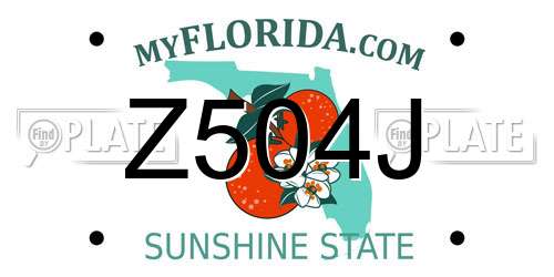 Z504J Florida License Plate