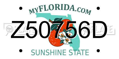 Z50756D Florida License Plate