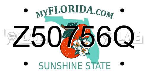 Z50756Q Florida License Plate