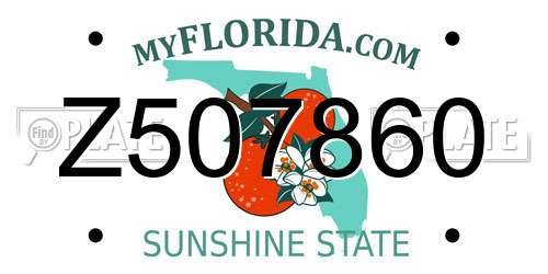 Z507860 Florida License Plate