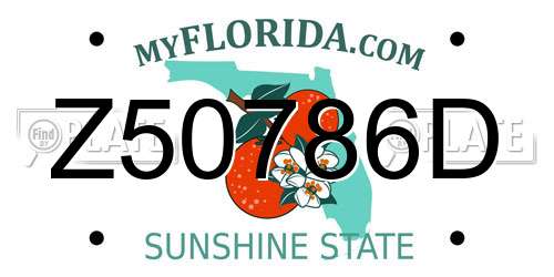 Z50786D Florida License Plate