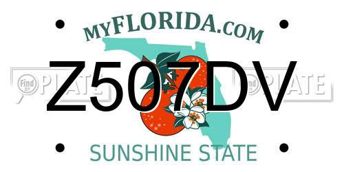 Z507DV Florida License Plate