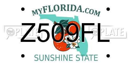 Z509FL Florida License Plate