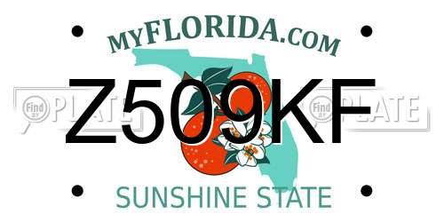 Z509KF Florida License Plate