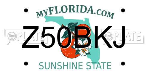 Z50BKJ Florida License Plate