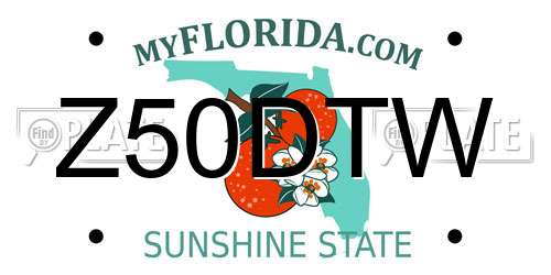 Z50DTW Florida License Plate