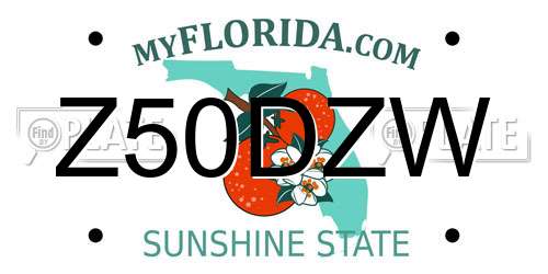 Z50DZW Florida License Plate
