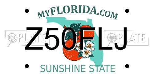 Z50FLJ Florida License Plate