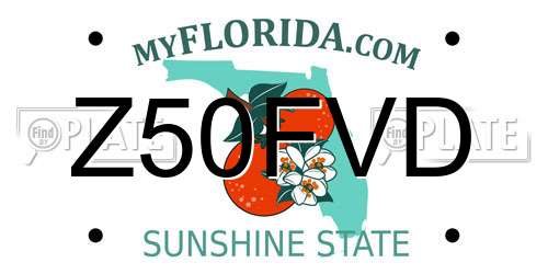 Z50FVD Florida License Plate