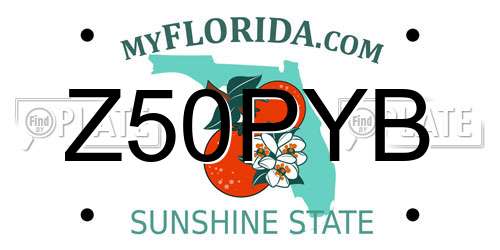Z50PYB Florida License Plate