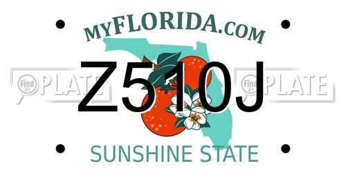 Z510J Florida License Plate