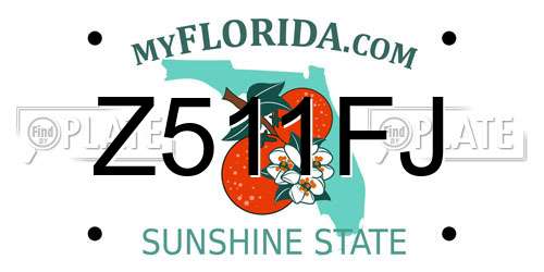 Z511FJ Florida License Plate