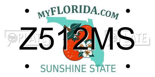 Z512MS Florida License Plate