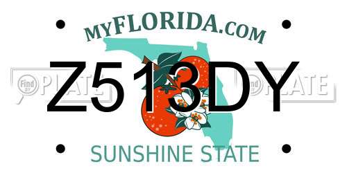 Z513DY Florida License Plate