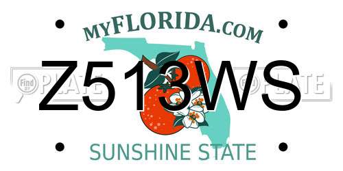 Z513WS Florida License Plate