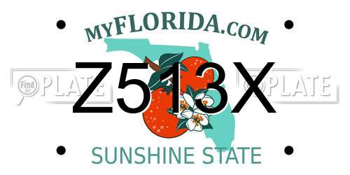 Z513X Florida License Plate
