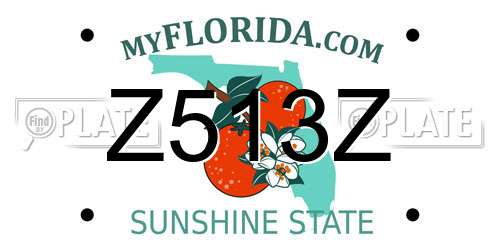 Z513Z Florida License Plate