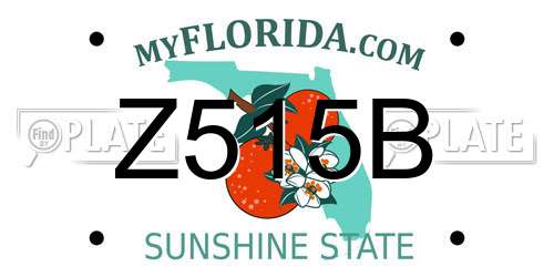 Z515B Florida License Plate