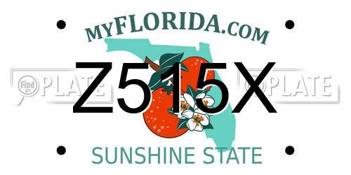 Z515X Florida License Plate