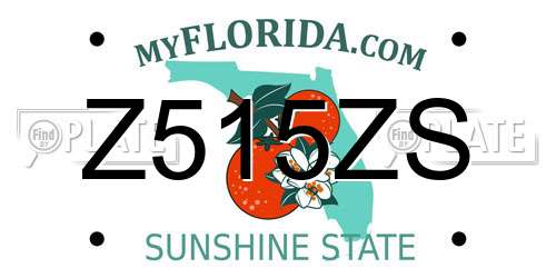 Z515ZS Florida License Plate