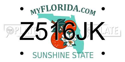 Z516JK Florida License Plate