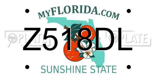 Z518DL Florida License Plate