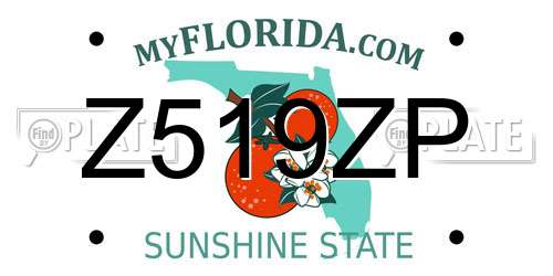 Z519ZP Florida License Plate