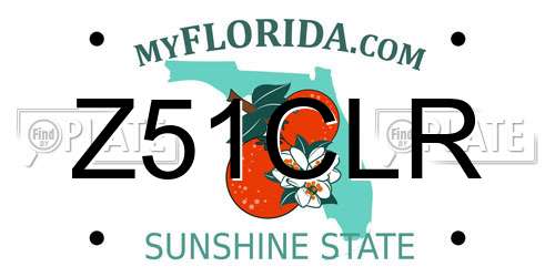 Z51CLR Florida License Plate