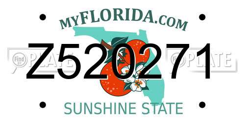Z520271 Florida License Plate