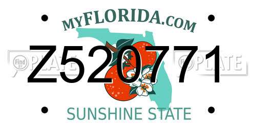 Z520771 Florida License Plate
