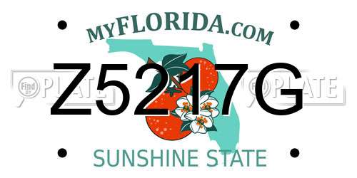 Z5217G Florida License Plate