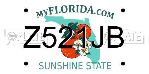 Z521JB Florida License Plate