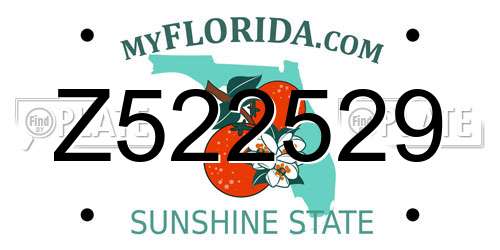 Z522529 Florida License Plate