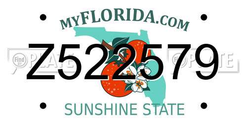 Z522579 Florida License Plate