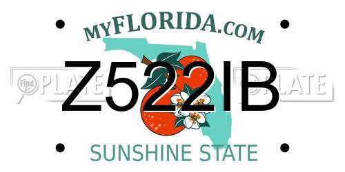 Z522IB Florida License Plate