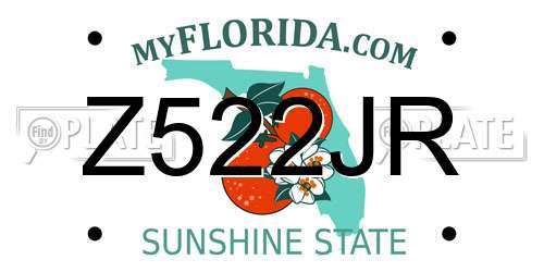Z522JR Florida License Plate