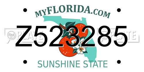 Z523285 Florida License Plate